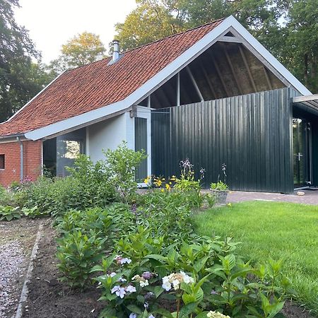 Haystackcottage Paterswolde Екстериор снимка