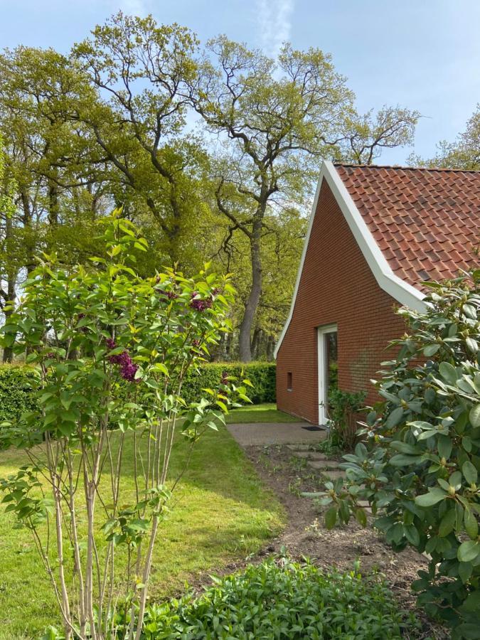 Haystackcottage Paterswolde Екстериор снимка