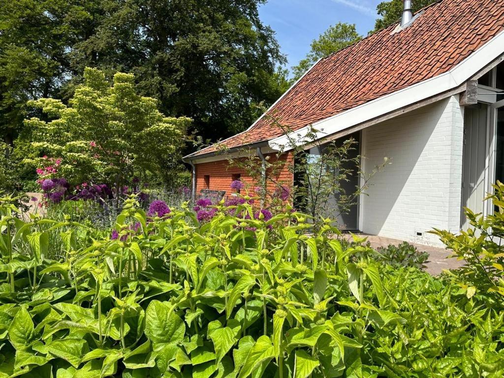 Haystackcottage Paterswolde Екстериор снимка