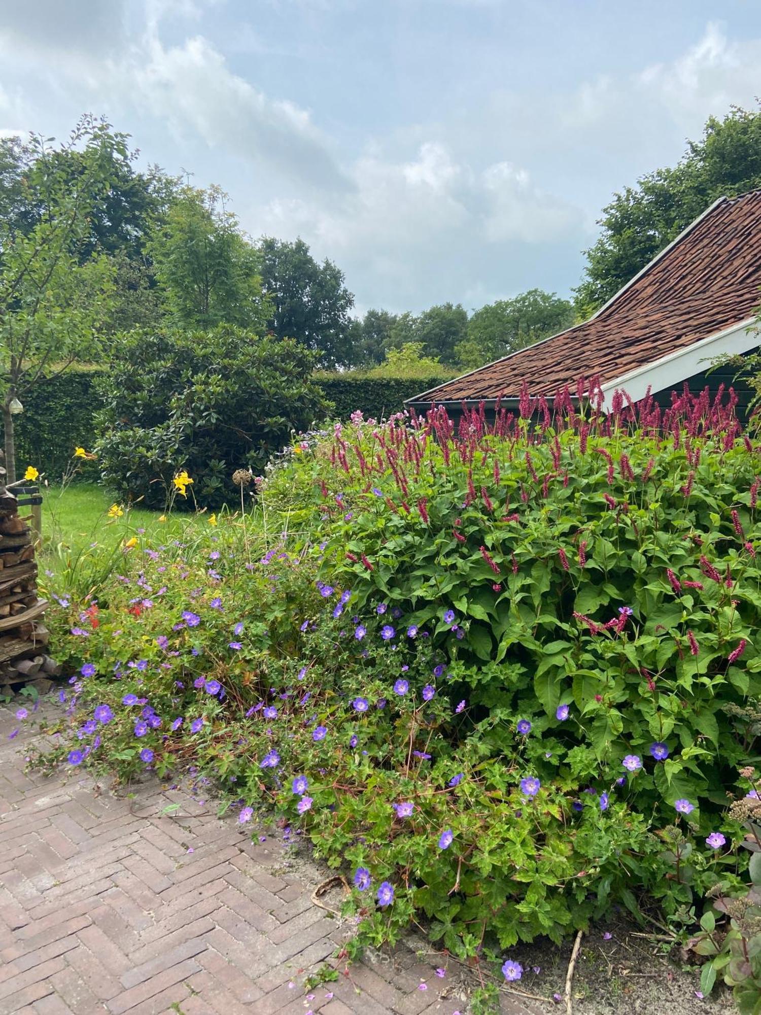 Haystackcottage Paterswolde Екстериор снимка